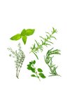 Herbes de Provence Bio